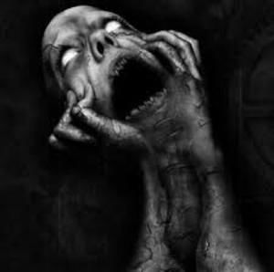 Meet your Posher, Jack anthony